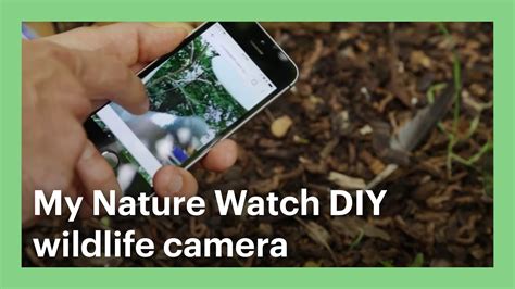 my nature watch.